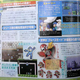 Illustration for article titled Mega Man 10 Isnt A Nintendo Exclusive